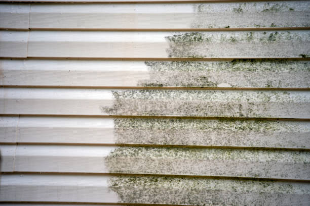 Best Construction Debris Removal  in Albany, IN