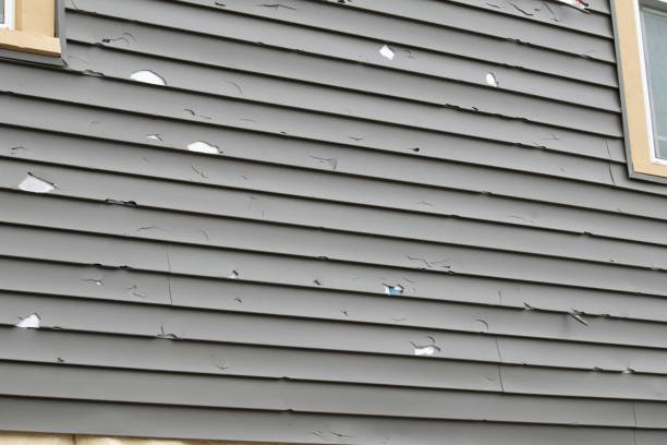 Shed Removal in Albany, IN
